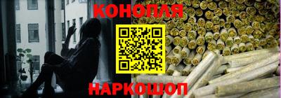 PSILOCYBIN Заводоуковск