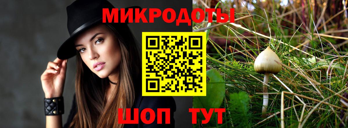 Псилоцибиновые грибы мицелий Отрадный